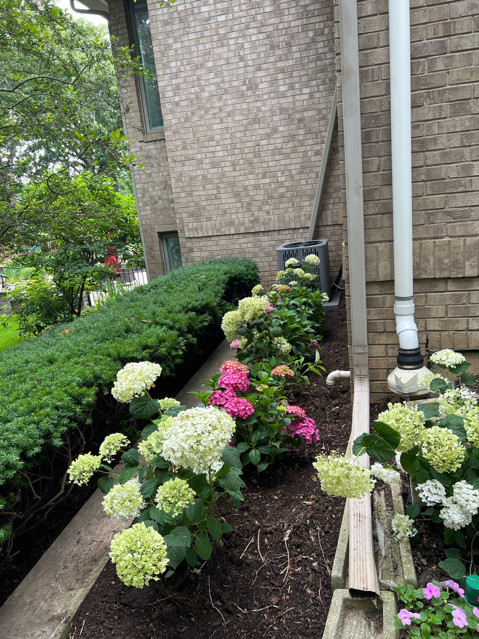 landscaping