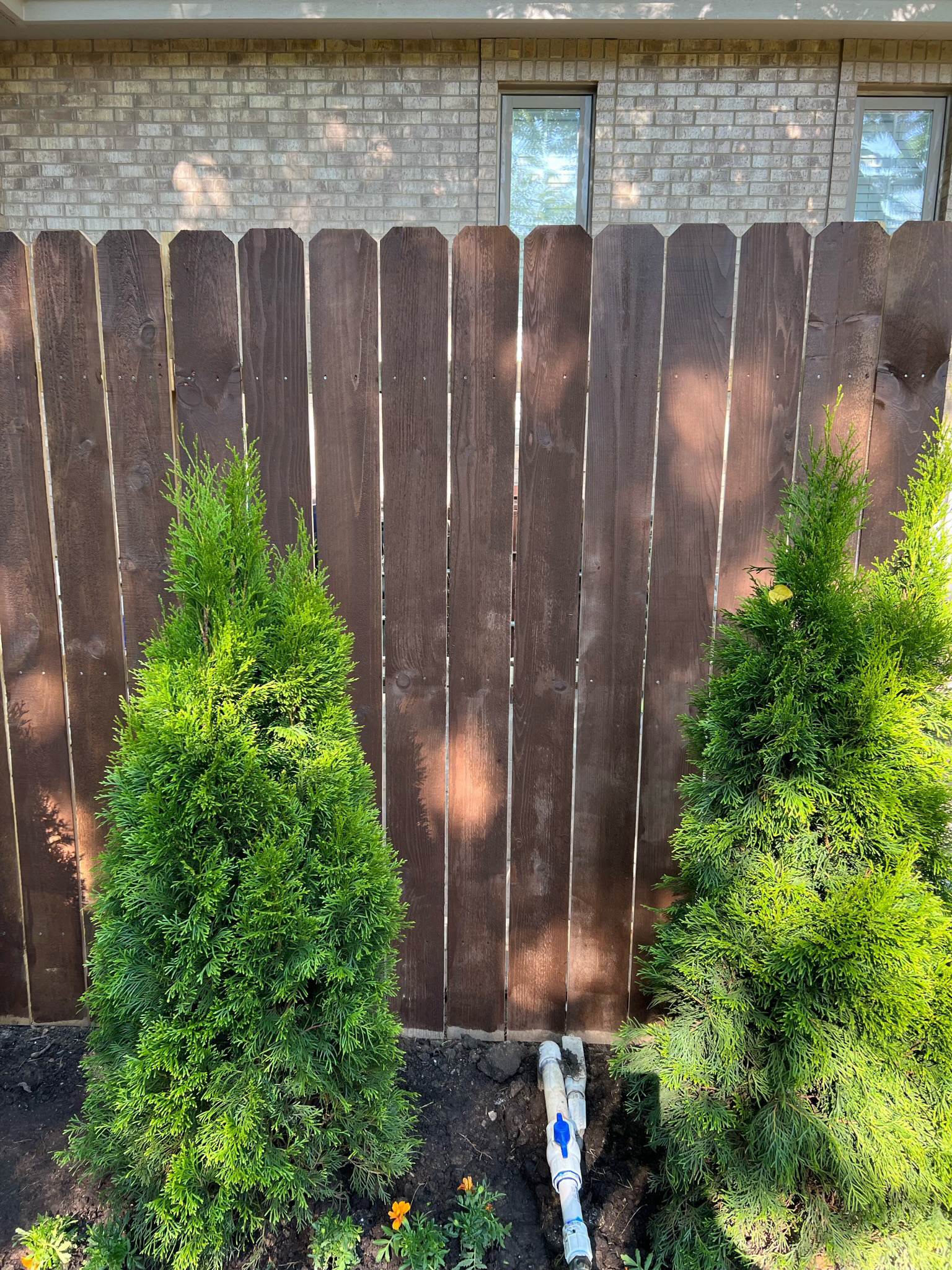 landscaping