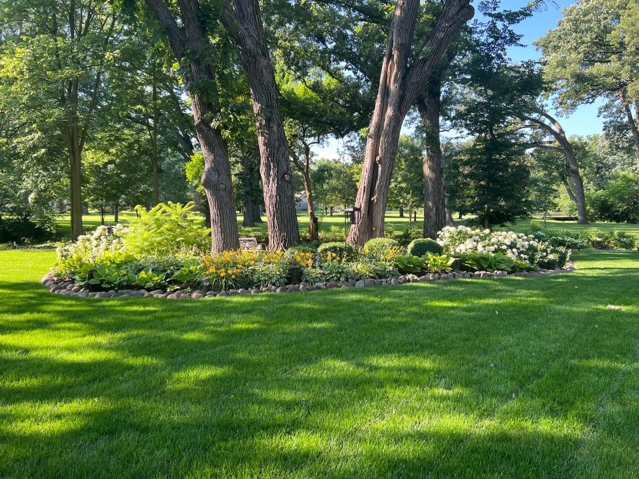 landscaping