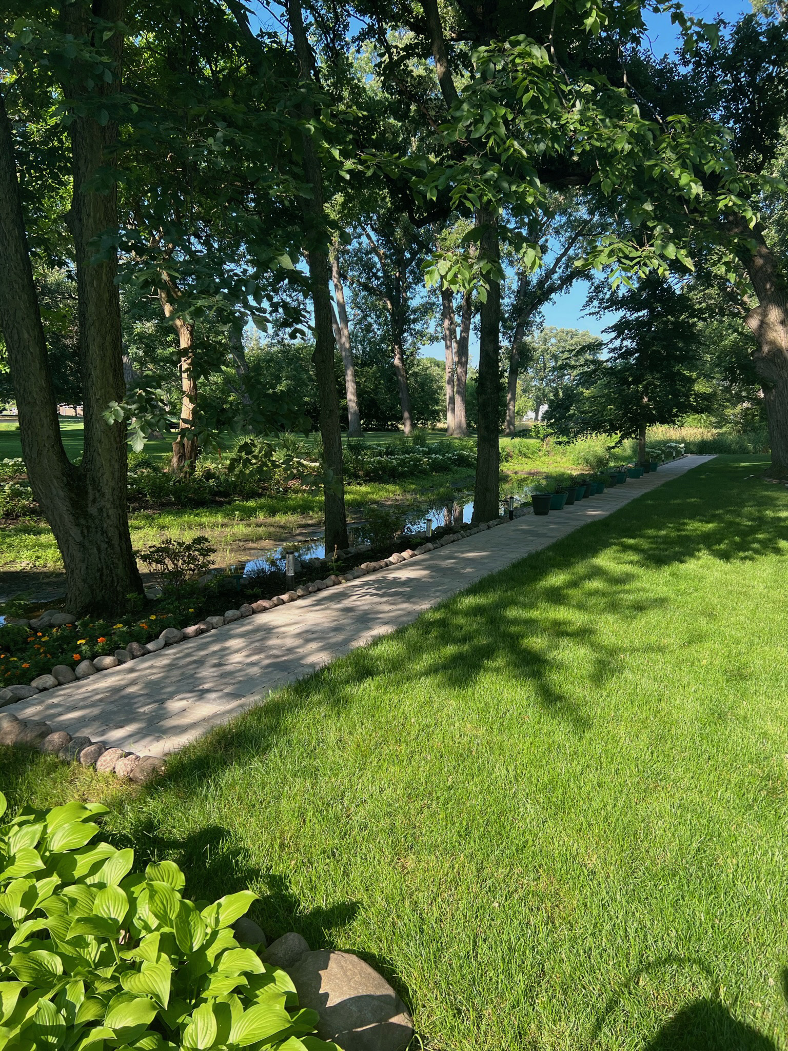landscaping